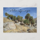 Recherche de palm springs cartes postales Palmier
