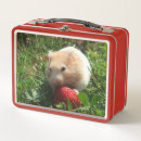 Suche nach hammie Erdbeere