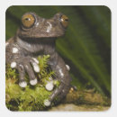 Suche nach zoologie aufkleber Natur