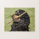 Suche nach reinrassig puzzle Kaninchen
