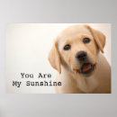 Recherche de labrador retriever posters Pets