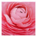 Suche nach 20 poster Rosa