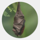 Suche nach nah aufkleber Grün