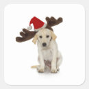 Recherche de ren autocollants Noël