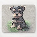 Recherche de chiot yorkie tapis souris Animal