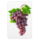 Recherche de raisins magnets Rouge