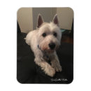 Recherche de westie magnets Montagne