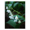 Recherche de muguet art Floral