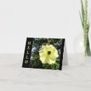 Suche nach gelber hibiskus karten Blume