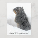 Recherche de squirrel cartes postales Drôle