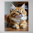 Recherche de animaux mignon posters Photographe