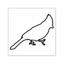 Recherche de cardinal masculin Faune