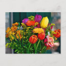 Recherche de bouquets cartes postales Rose