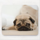 Suche nach mops mousepads Haustiere