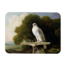 Recherche de stubbs magnets Huile