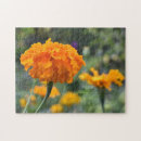 Suche nach orange blume puzzle Natur