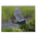 Suche nach wasservögel kalender Natur