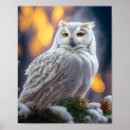 Suche nach schneeeulen poster Weiß