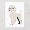 Recherche de de caniche cartes postales Chiot