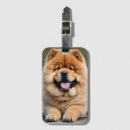 Recherche de chow chow accessoires Animaux domestiques