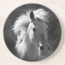 Suche nach schwarzes pferd untersetzer Western