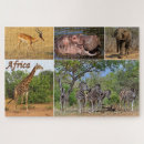 Recherche de africains puzzles Zèbre
