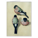 Suche nach studieren sie mich nicht postkarten Vogel