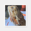 Recherche de barbu serviettes Dragon