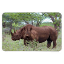 Suche nach kalb magnete Baby