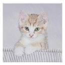 Recherche de peinture de chat posters Orange