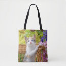 Suche nach baby taschen Katze