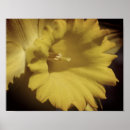 Recherche de jonquilles jaunes posters Photographie