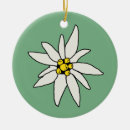 Suche nach edelweiss ornamente Blume