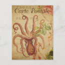 Recherche de calmar cartes postales Rose