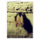 Recherche de vampire photographie Effrayant