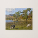 Suche nach lake district puzzle Derwentwater