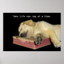 Suche nach buch poster Spaß