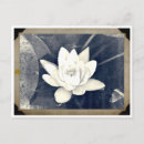 Recherche de bouddhisme zen cartes postales Bouddhiste