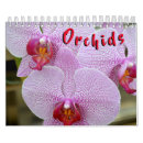 Suche nach 12 monatiger kalender Natur
