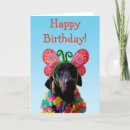 Suche nach doberman karten Lustig