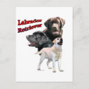 Suche nach labrador retriever postkarten Schwarzes labor
