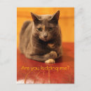 Suche nach witze postkarten Kätzchen