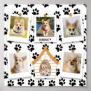 Suche nach paw poster Niedlich