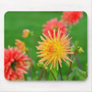 Suche nach dahlien mousepads Muster