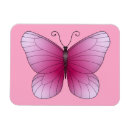 Recherche de papillons magnets Numérique