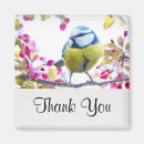 Suche nach singvögel magnete Niedlich