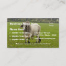 Recherche de taureaux cartes visite Boeuf