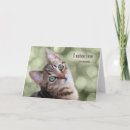 Recherche de chat pourri Chaton