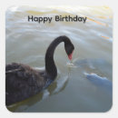 Recherche de cygne autocollants Oiseau