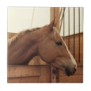 Suche nach stall fliesen Pferd